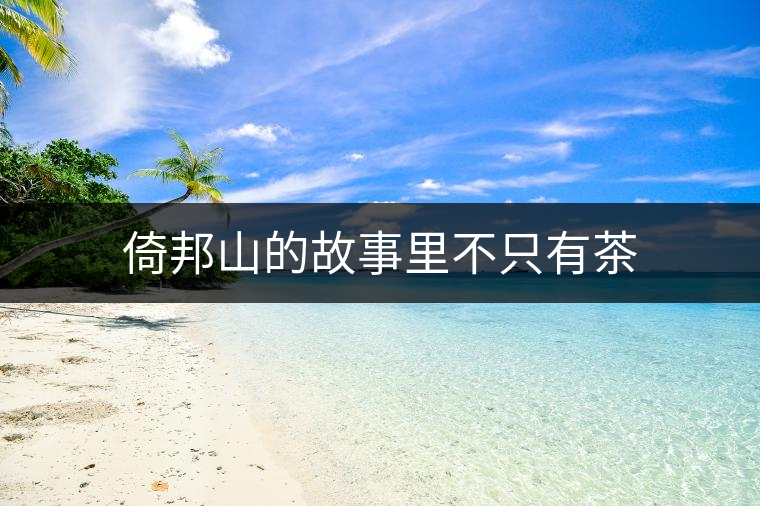 倚邦山的故事里不只有茶