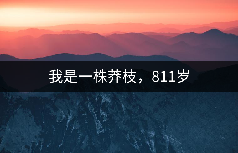 我是一株莽枝，811歲