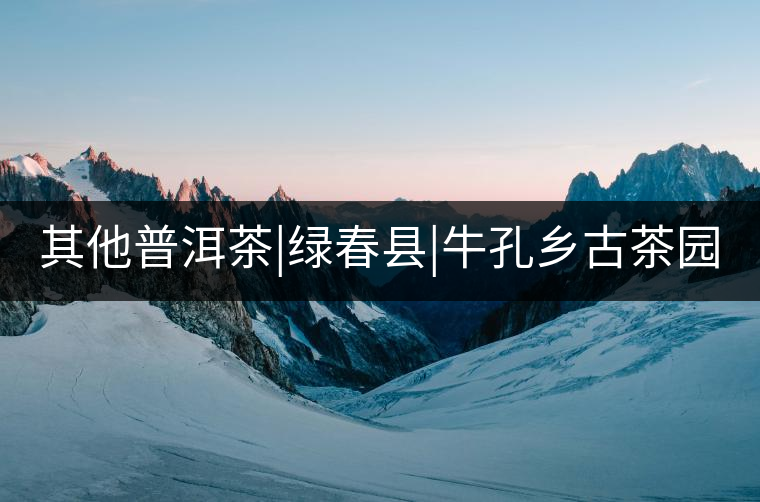 其他普洱茶|綠春縣|牛孔鄉(xiāng)古茶園