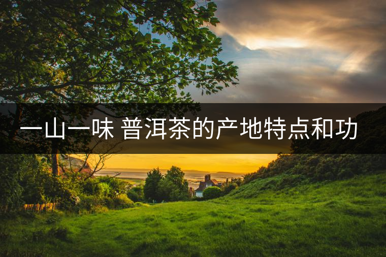 一山一味 普洱茶的產(chǎn)地特點(diǎn)和功效 一山一味 普洱茶的產(chǎn)地特點(diǎn)和功效