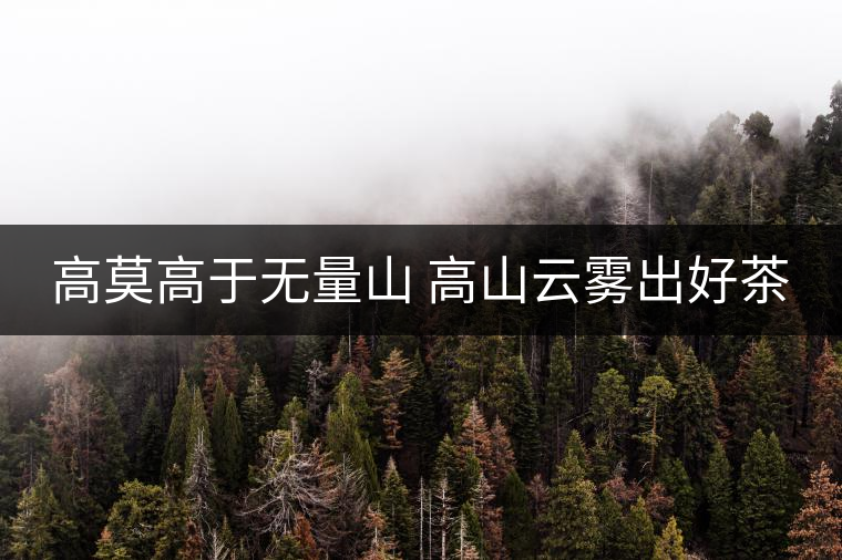 高莫高于無量山 高山云霧出好茶 高莫高于無量山 高山云霧出好茶