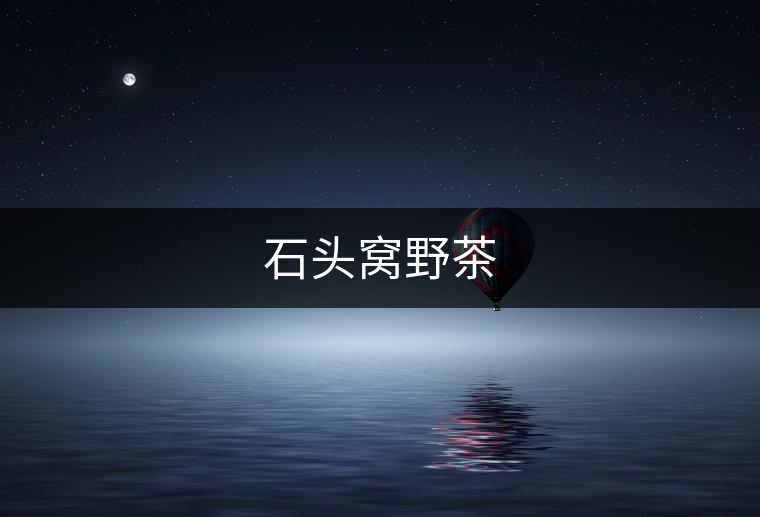石頭窩野茶 石頭窩野茶