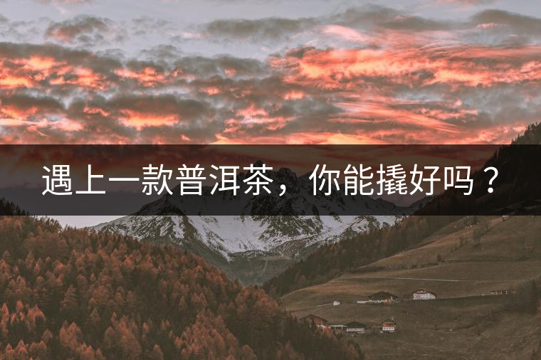 遇上一款普洱茶，你能撬好嗎 ？