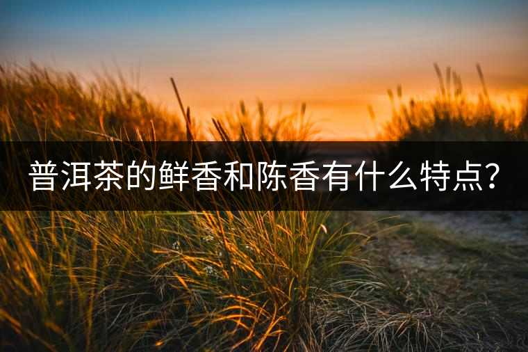 普洱茶的鮮香和陳香有什么特點(diǎn)？