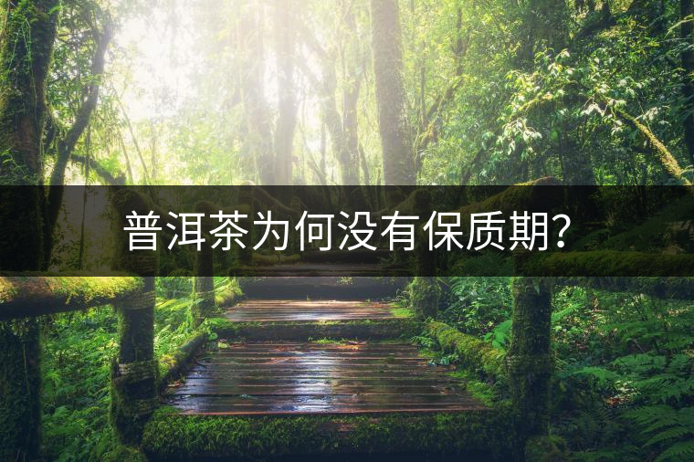 普洱茶為何沒有保質(zhì)期？