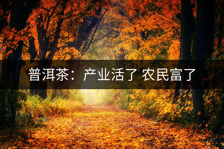 普洱茶:產(chǎn)業(yè)活了 農(nóng)民富了 普洱茶:產(chǎn)業(yè)活了 農(nóng)民富了