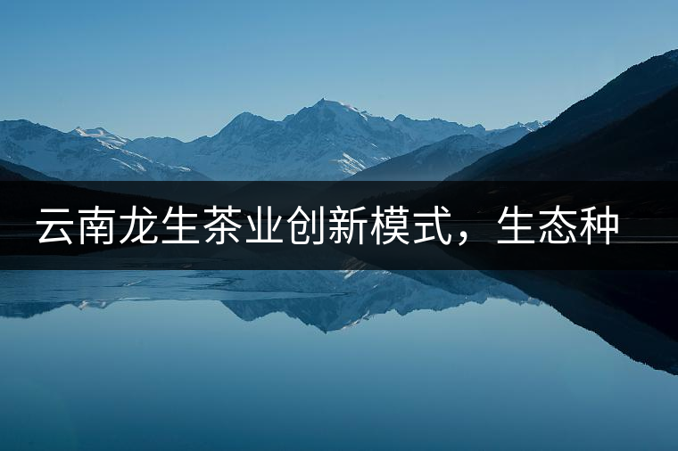 云南龍生茶業(yè)創(chuàng)新模式，生態(tài)種植