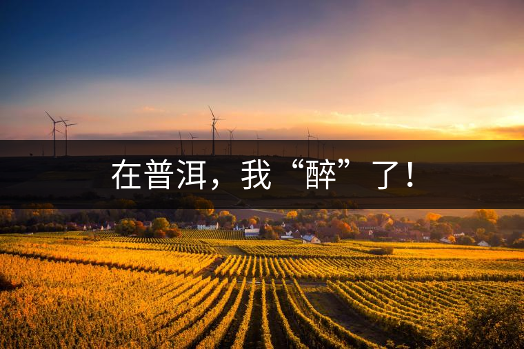 在普洱，我“醉”了！