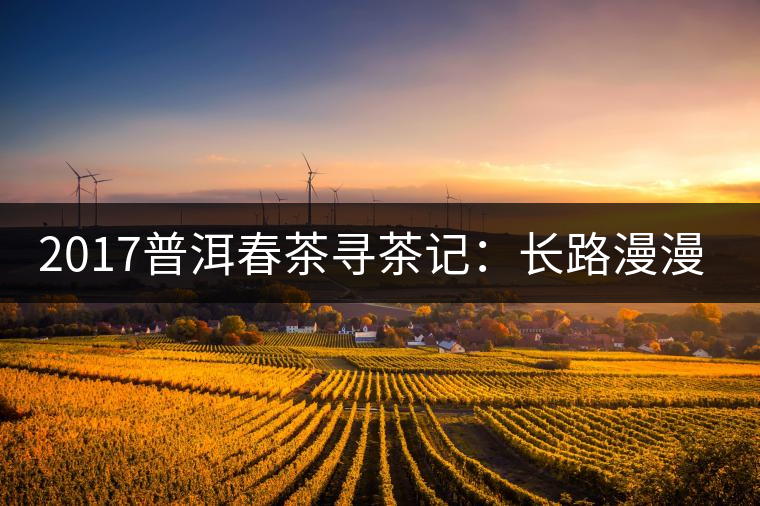 2017普洱春茶尋茶記：長(zhǎng)路漫漫老班章