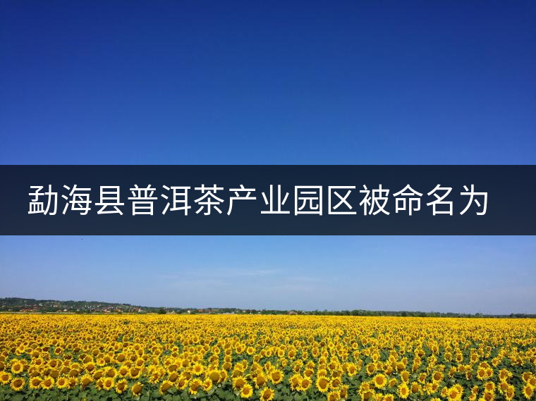 勐?？h普洱茶產(chǎn)業(yè)園區(qū)被命名為 