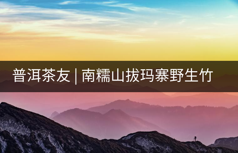 普洱茶友 | 南糯山拔瑪寨野生竹蓀給看過(guò)？