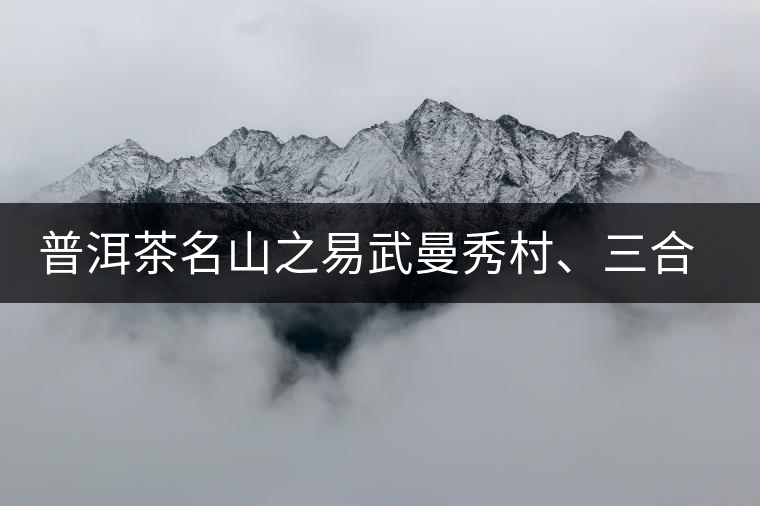 普洱茶名山之易武曼秀村、三合社村