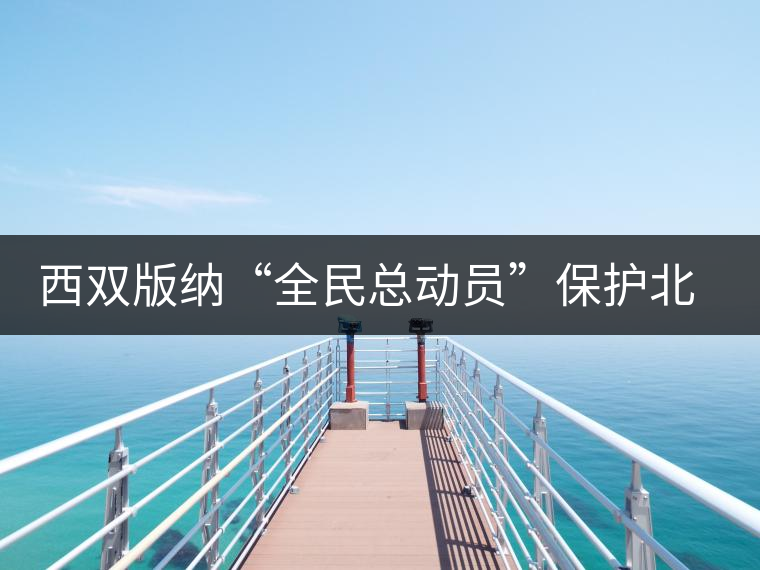 西雙版納“全民總動(dòng)員”保護(hù)北回歸線唯一綠洲