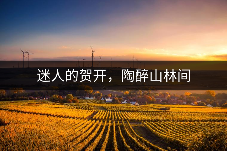 迷人的賀開，陶醉山林間