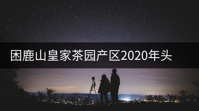 困鹿山皇家茶園產(chǎn)區(qū)2020年頭春古樹，白花林口感特點