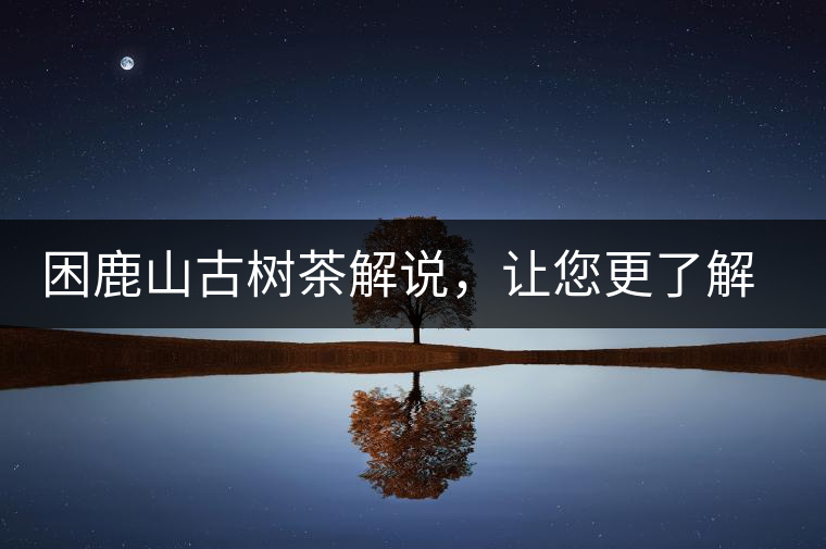 困鹿山古樹茶解說，讓您更了解古樹貢茶