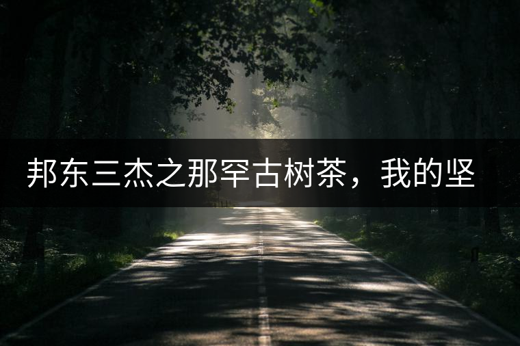 邦東三杰之那罕古樹茶，我的堅持