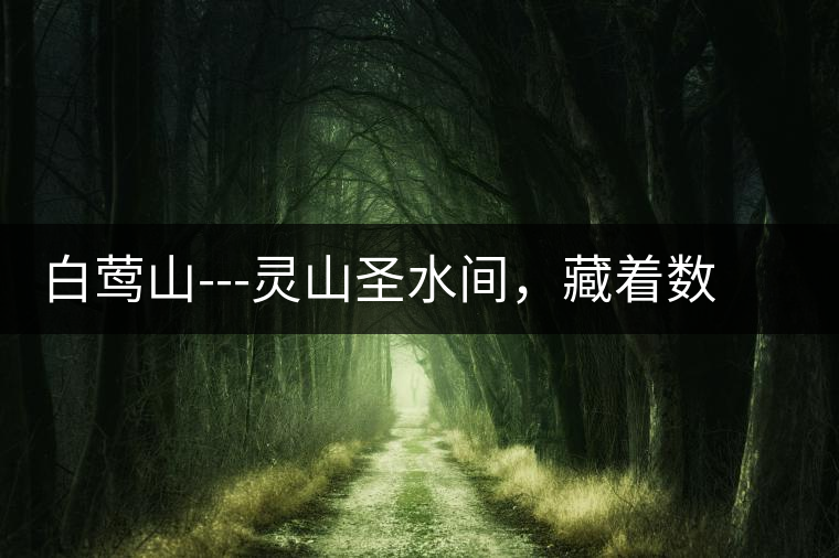 白鶯山---靈山圣水間，藏著數(shù)不盡的佛茶佳話