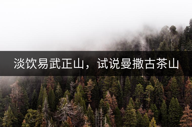 淡飲易武正山，試說曼撒古茶山