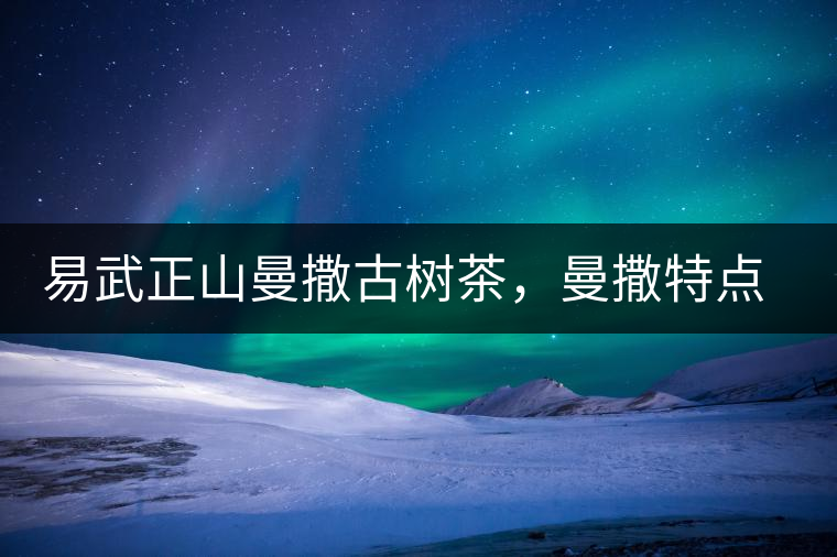 易武正山曼撒古樹(shù)茶，曼撒特點(diǎn)分享介紹