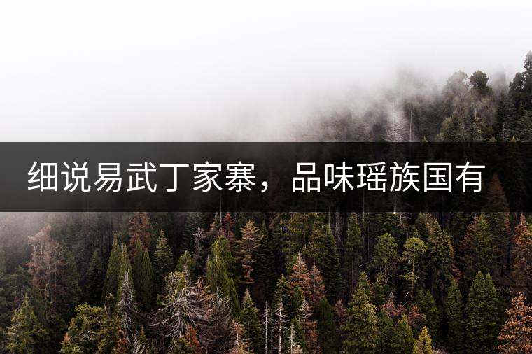 細(xì)說易武丁家寨，品味瑤族國有林古樹普洱茶