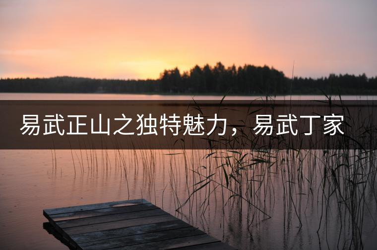 易武正山之獨(dú)特魅力，易武丁家寨介紹品鑒