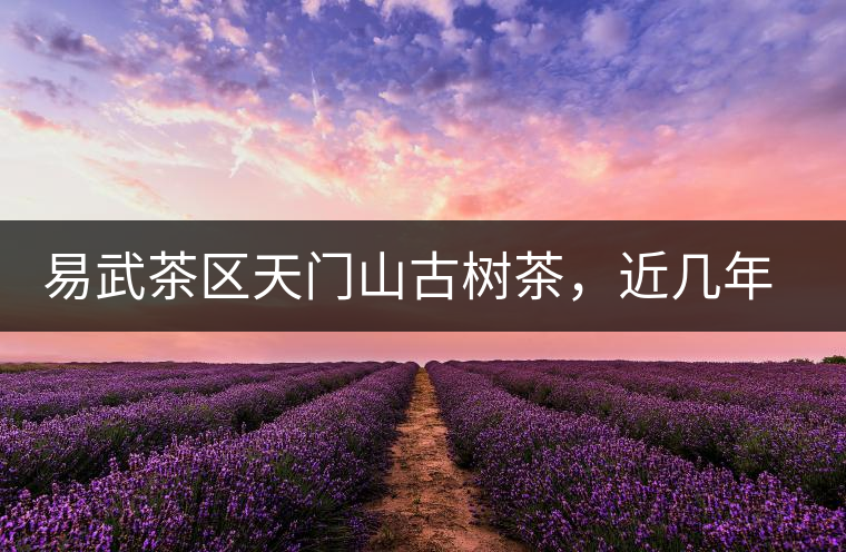 易武茶區(qū)天門山古樹(shù)茶，近幾年的熱門山頭