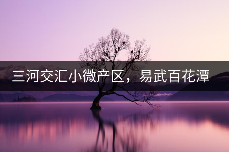 三河交匯小微產(chǎn)區(qū)，易武百花潭古茶園介紹