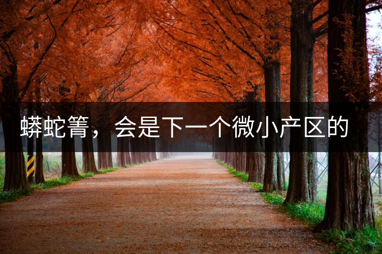 蟒蛇箐，會(huì)是下一個(gè)微小產(chǎn)區(qū)的熱門(mén)山頭嗎？