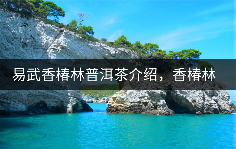 易武香椿林普洱茶介紹，香椿林古樹茶口感特點