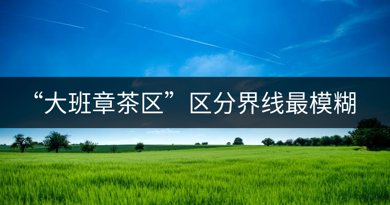 “大班章茶區(qū)”區(qū)分界線最模糊的寨子——班盆老寨 “大班章茶區(qū)”區(qū)分界線最模糊的寨子——班盆老寨