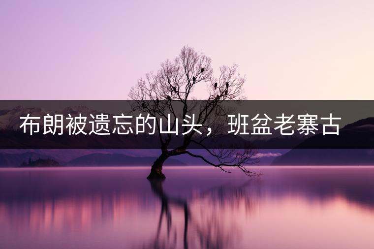 布朗被遺忘的山頭，班盆老寨古茶園介紹