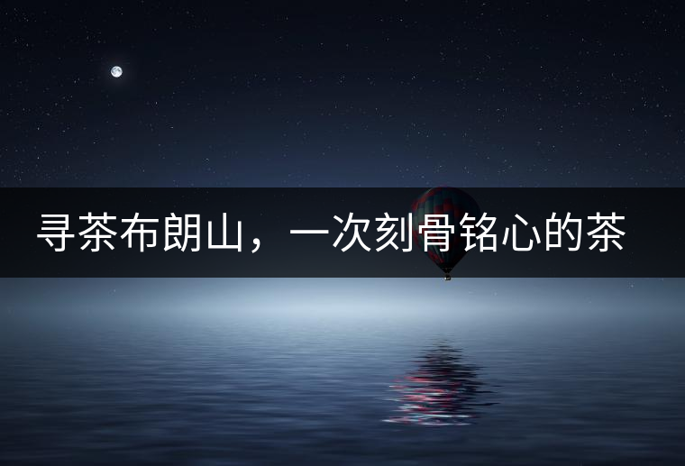 尋茶布朗山，一次刻骨銘心的茶山行