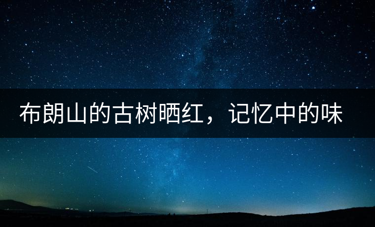 布朗山的古樹曬紅，記憶中的味道