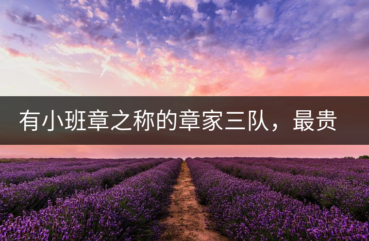 有小班章之稱(chēng)的章家三隊(duì)，最貴的小樹(shù)茶