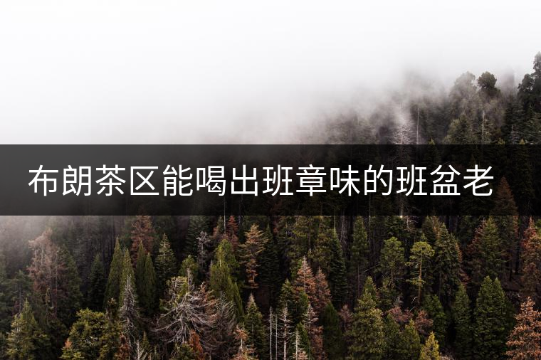 布朗茶區(qū)能喝出班章味的班盆老寨你知道嗎？