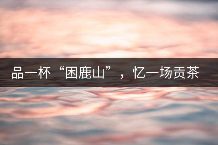 品一杯“困鹿山”，憶一場貢茶情