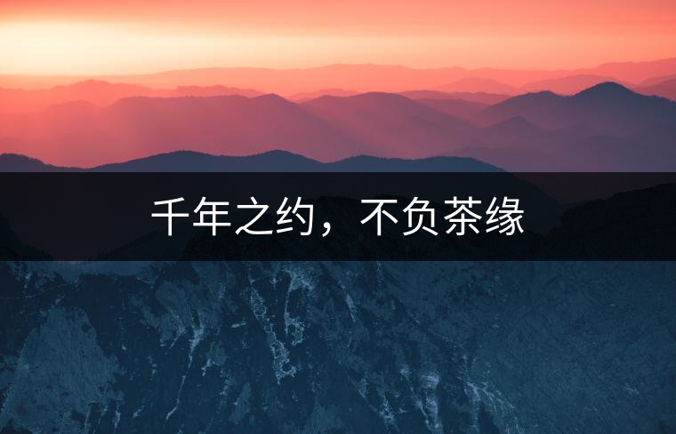 千年之約，不負茶緣