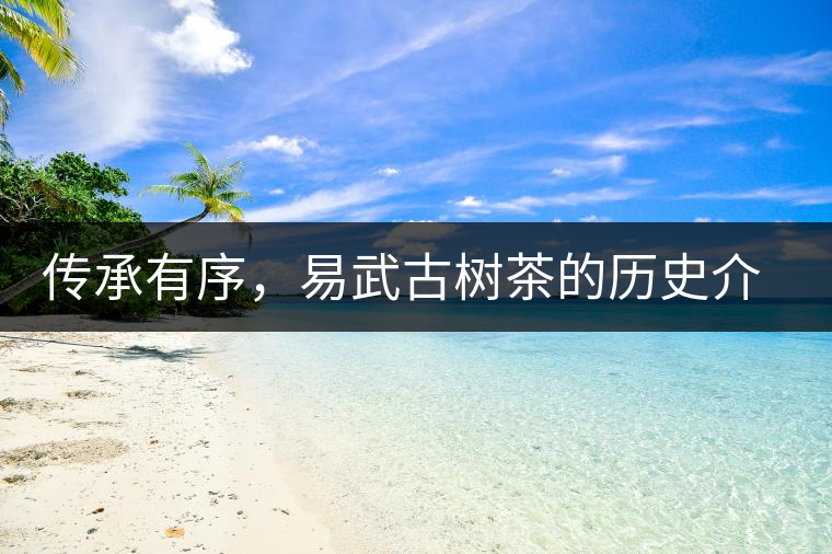 傳承有序，易武古樹茶的歷史介紹