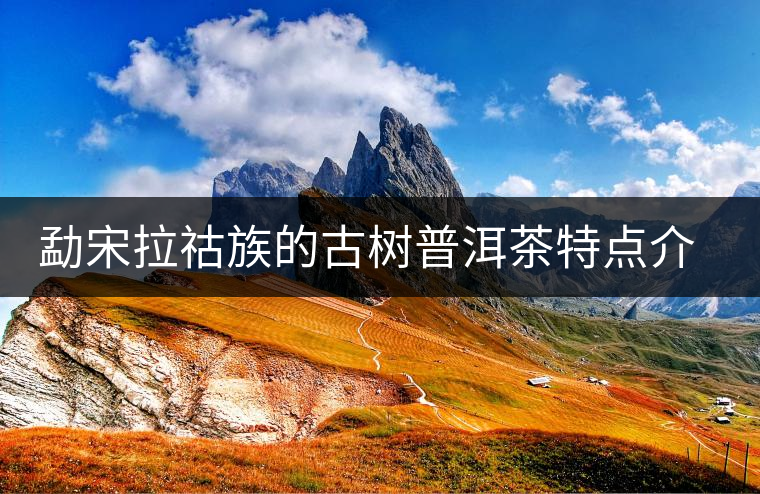 勐宋拉祜族的古樹普洱茶特點介紹