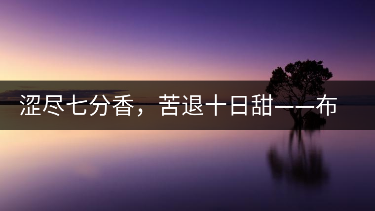 澀盡七分香，苦退十日甜——布朗山千年古寨曼新龍