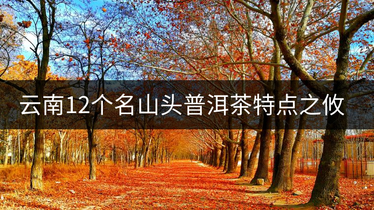 云南12個名山頭普洱茶特點之攸樂篇