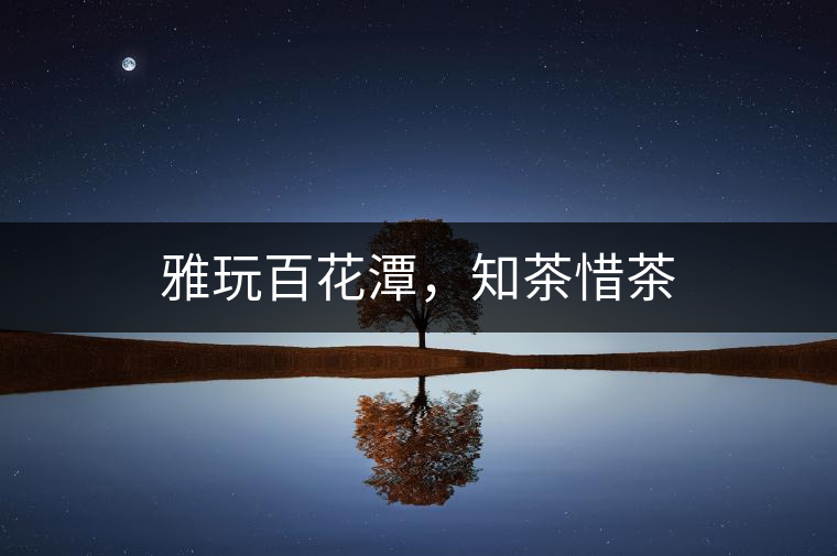 雅玩百花潭，知茶惜茶