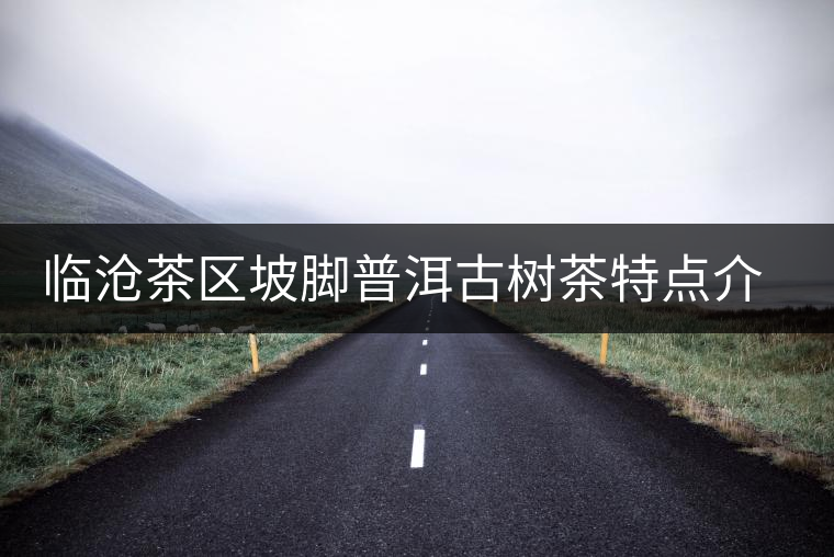 臨滄茶區(qū)坡腳普洱古樹(shù)茶特點(diǎn)介紹