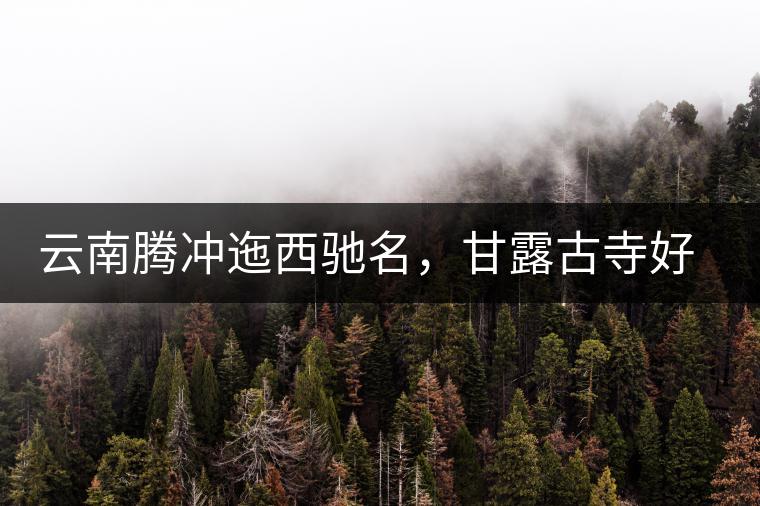 云南騰沖迤西馳名，甘露古寺好茶