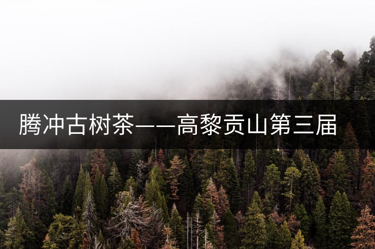 騰沖古樹(shù)茶——高黎貢山第三屆茶文化節(jié)