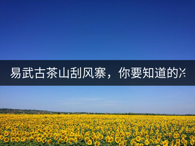 易武古茶山刮風(fēng)寨，你要知道的冷知識(shí)！