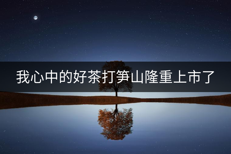 我心中的好茶打筍山隆重上市了