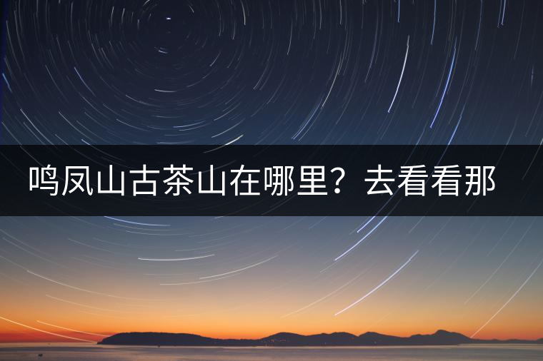 鳴鳳山古茶山在哪里？去看看那鳳凰曾經(jīng)落腳的地方