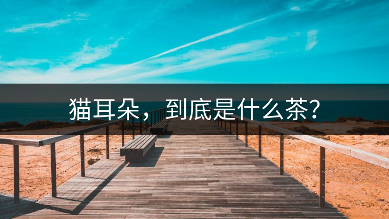 貓耳朵，到底是什么茶？